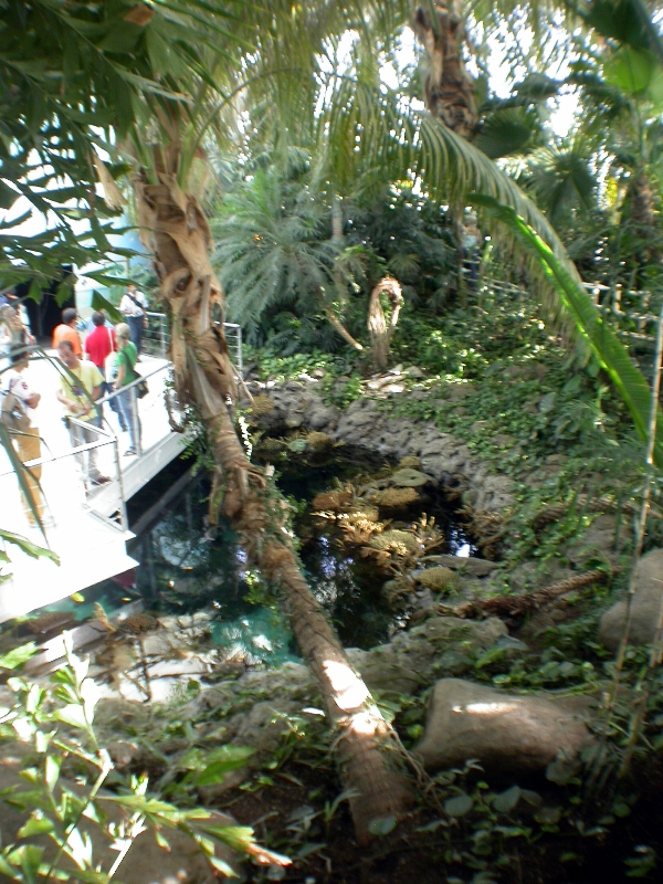 Various Pictures of Oceanario de Lisboa