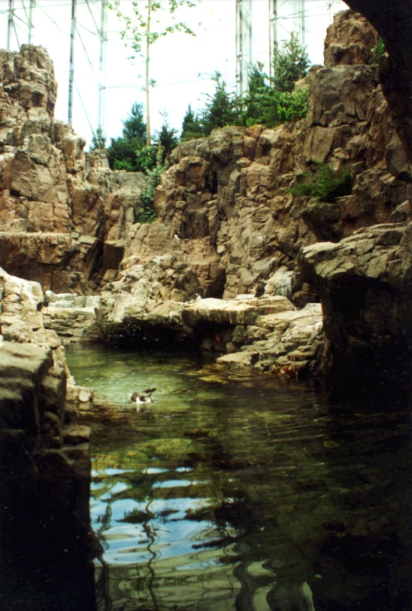 Various Pictures of Oceanario de Lisboa