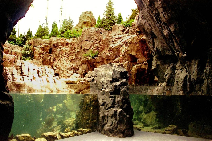 Various Pictures of Oceanario de Lisboa