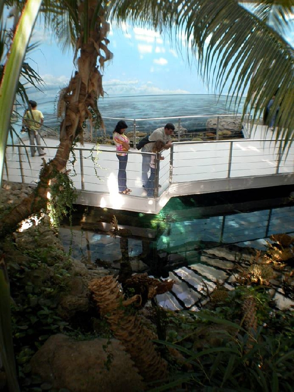 Various Pictures of Oceanario de Lisboa