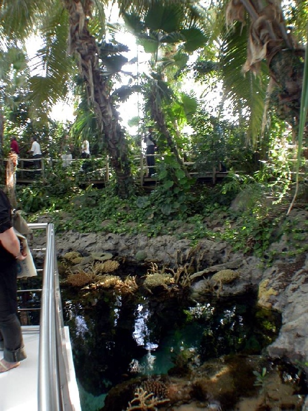 Various Pictures of Oceanario de Lisboa