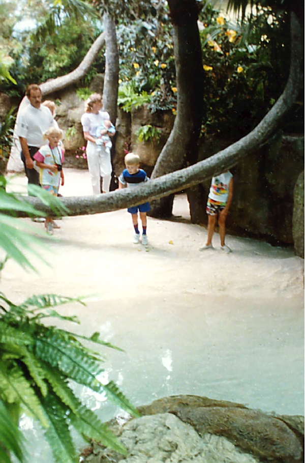 Various pictures of Pt Def zoo and aquarium