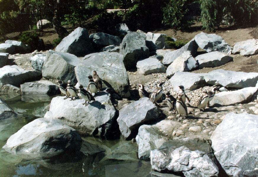 Various pictures of Pt Def zoo and aquarium