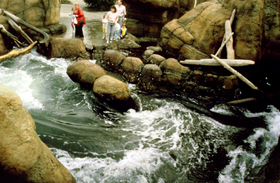 Various pictures of Pt Def zoo and aquarium