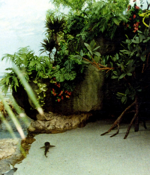 Various pictures of Pt Def zoo and aquarium