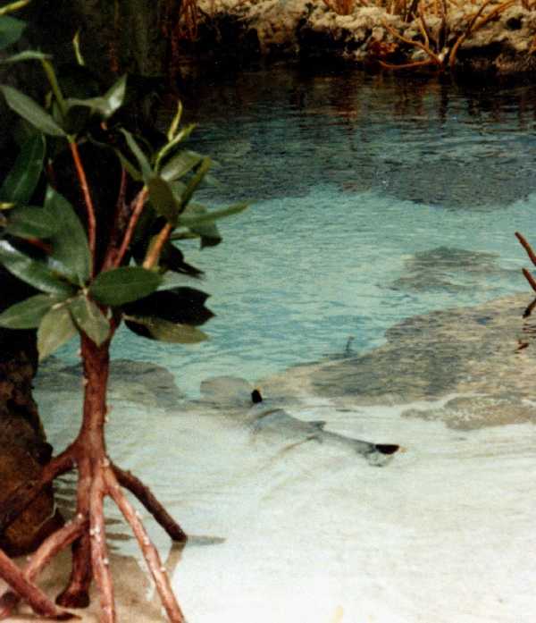 Various pictures of Pt Def zoo and aquarium