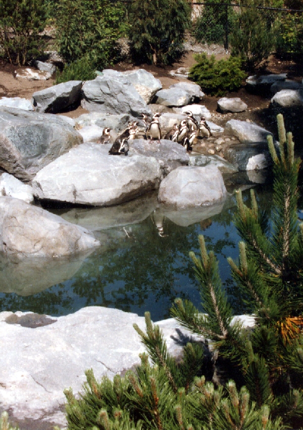 Various pictures of Pt Def zoo and aquarium