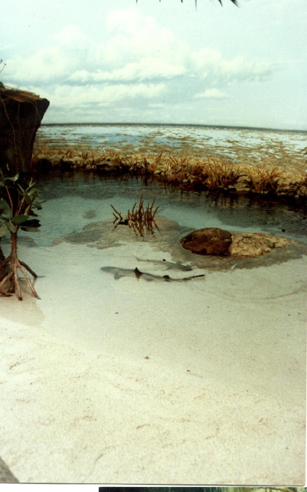 Various pictures of Pt Def zoo and aquarium