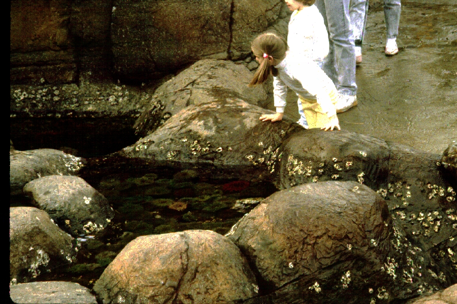 Various pictures of Pt Def zoo and aquarium