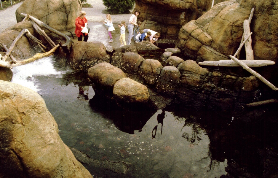 Various pictures of Pt Def zoo and aquarium