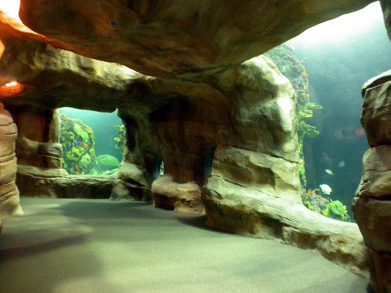 Various pictures of Tennessee Aquarium