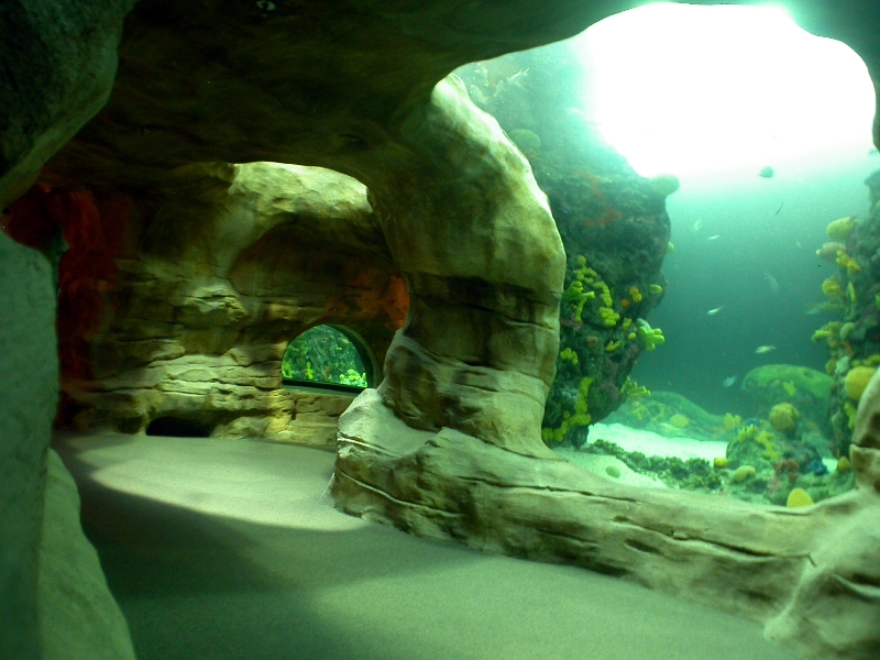 Various pictures of Tennessee Aquarium