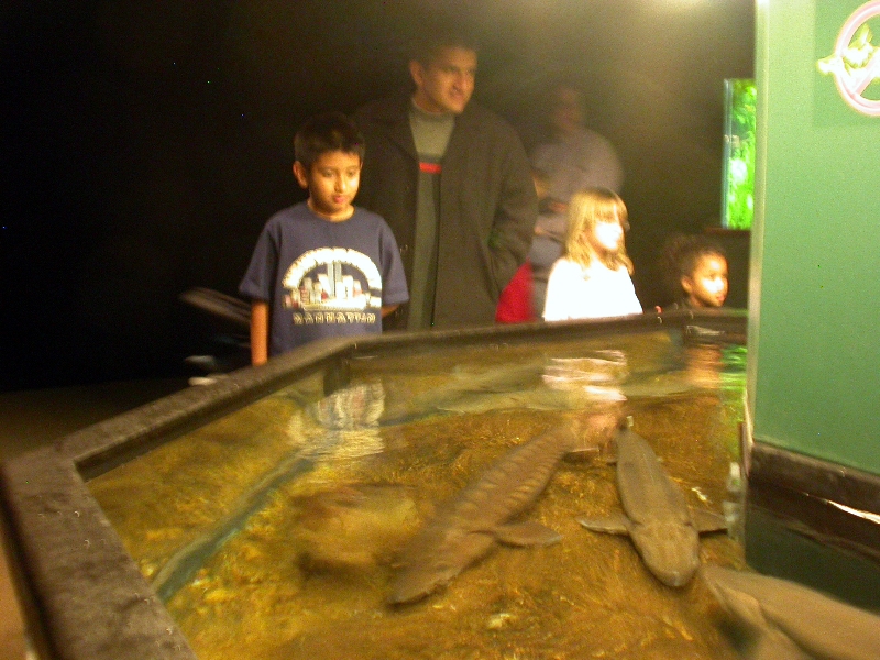 Various pictures of Tennessee Aquarium