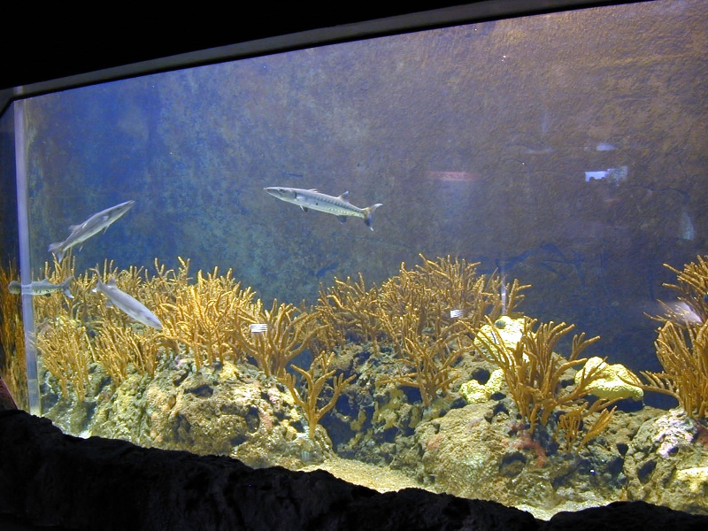 Various pictures of the Rotterdam Aquarium