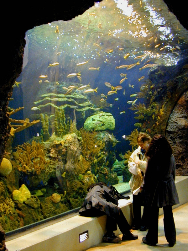 Various pictures of the Rotterdam Aquarium