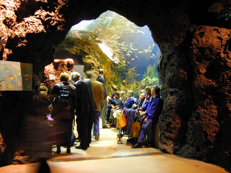 Various pictures of the Rotterdam Aquarium