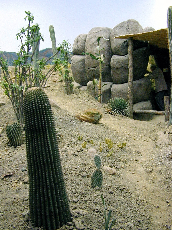 Various pictures of the Rotterdam Aquarium