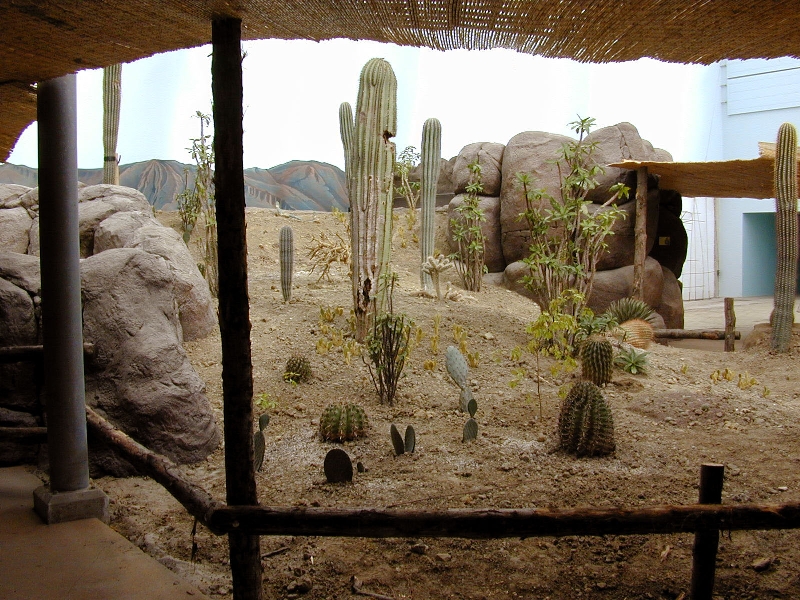 Various pictures of the Rotterdam Aquarium