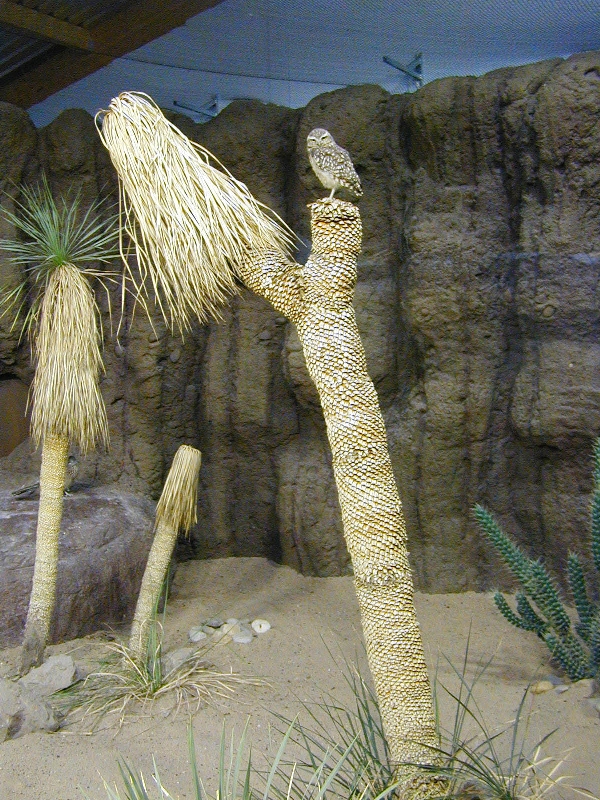 Various pictures of the Rotterdam Aquarium