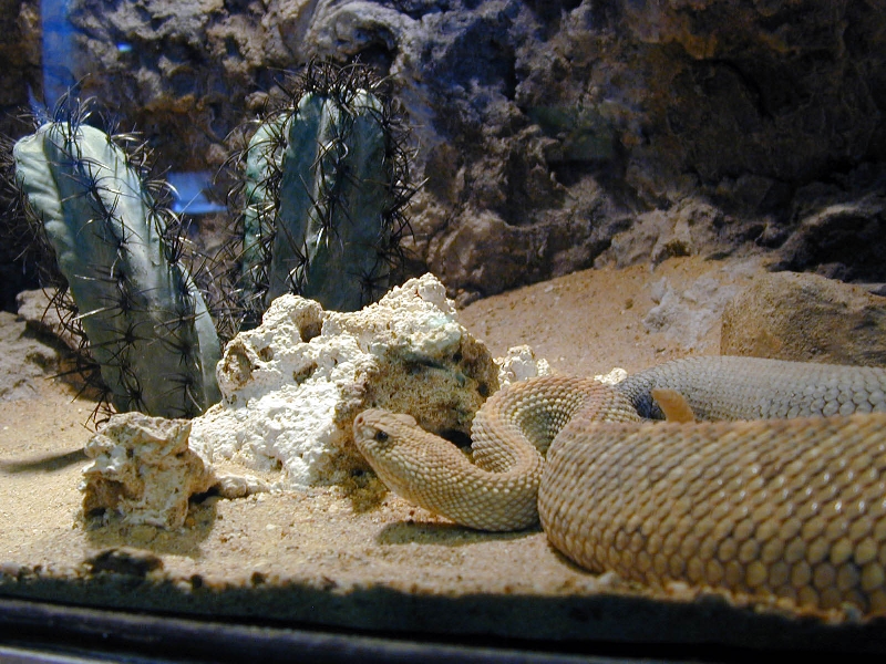 Various pictures of the Rotterdam Aquarium