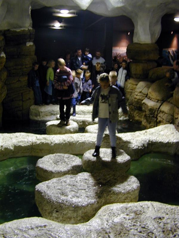 Various pictures of the Rotterdam Aquarium