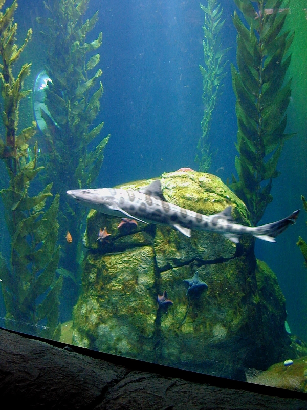 Various pictures of the Rotterdam Aquarium