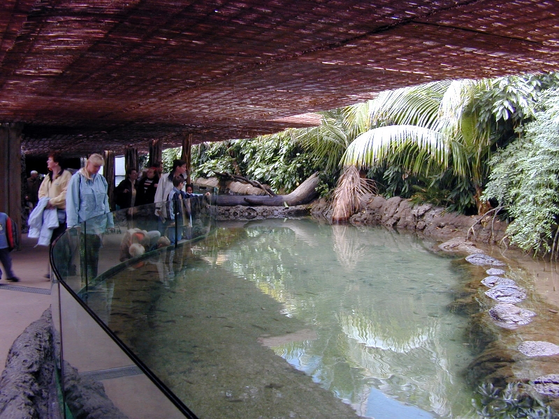 Various pictures of the Rotterdam Aquarium