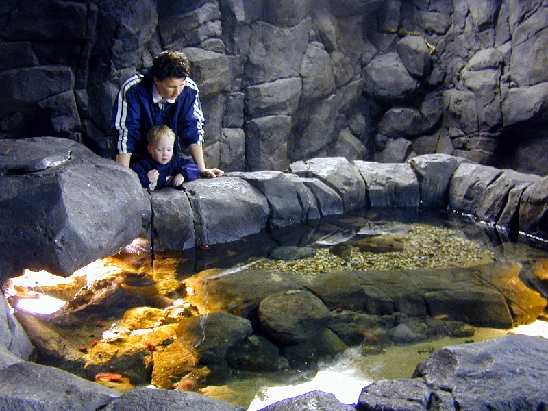 Various pictures of the Rotterdam Aquarium