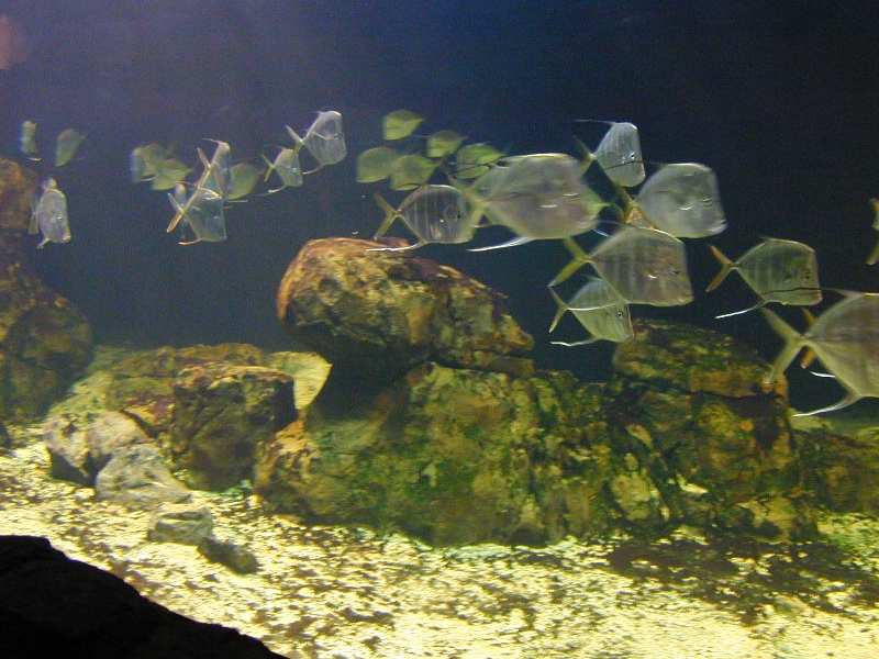 Various pictures of the Rotterdam Aquarium