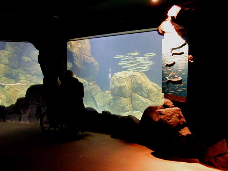 Various pictures of the Rotterdam Aquarium