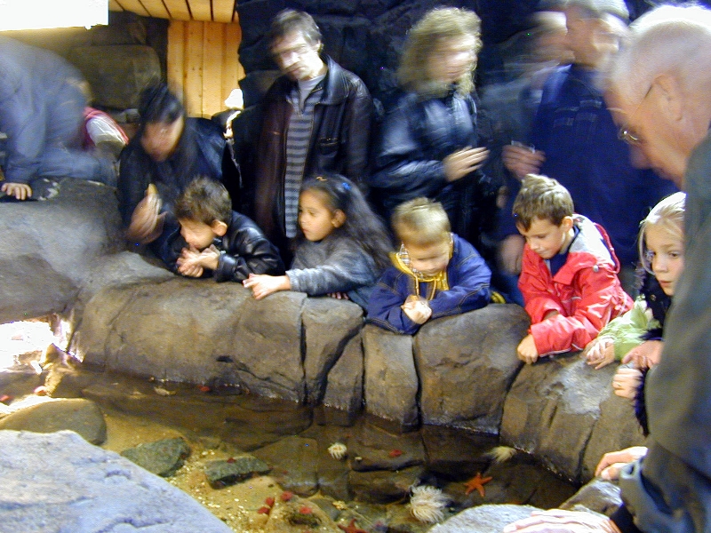 Various pictures of the Rotterdam Aquarium