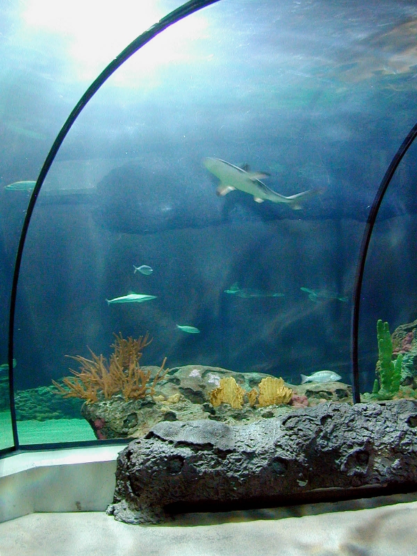 Various pictures of the Rotterdam Aquarium