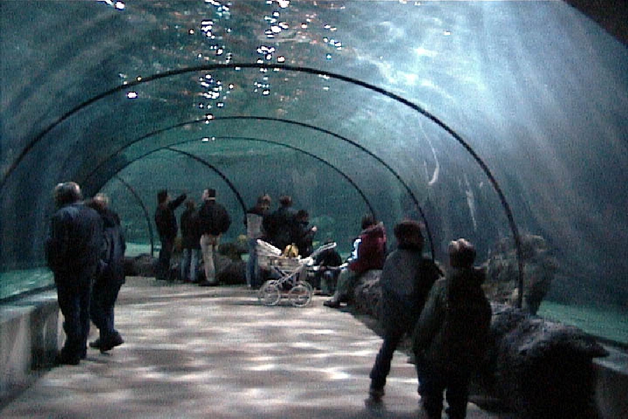Various pictures of the Rotterdam Aquarium
