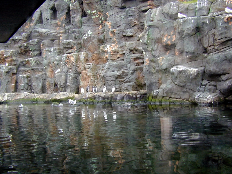 Various pictures of the Rotterdam Aquarium