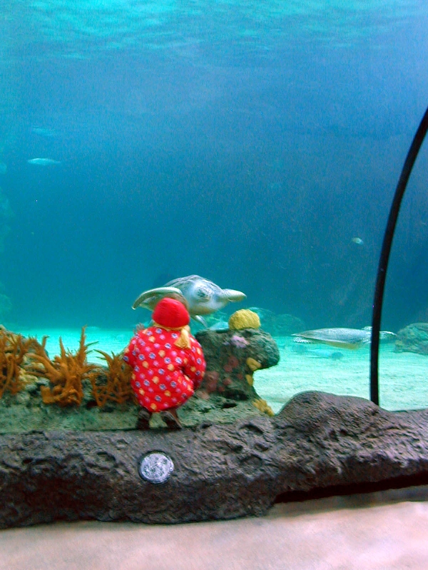 Various pictures of the Rotterdam Aquarium