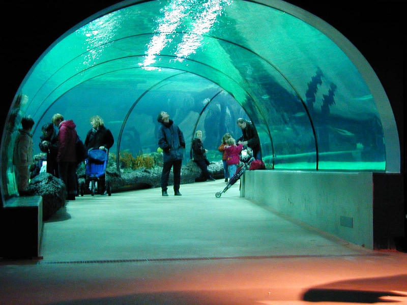 Various pictures of the Rotterdam Aquarium