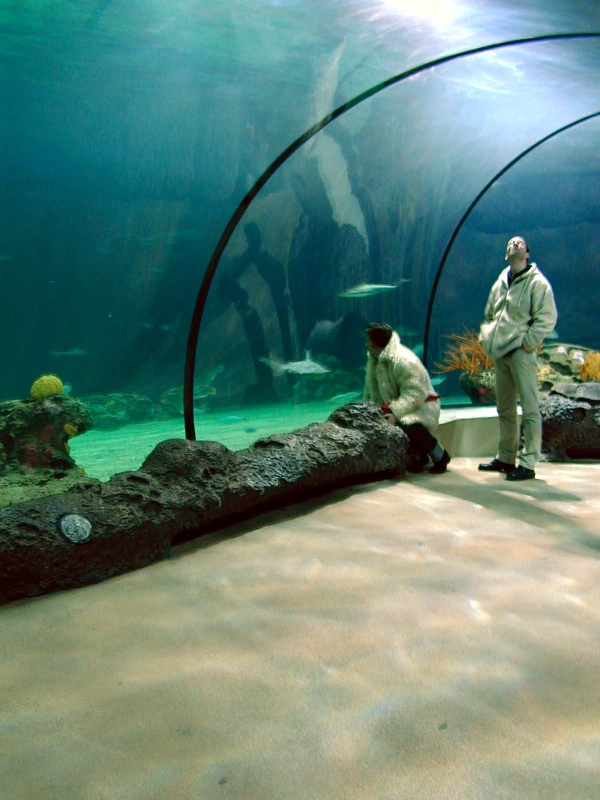 Various pictures of the Rotterdam Aquarium