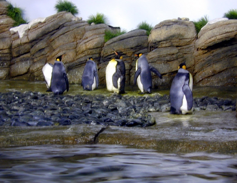 Various pictures of the Rotterdam Aquarium