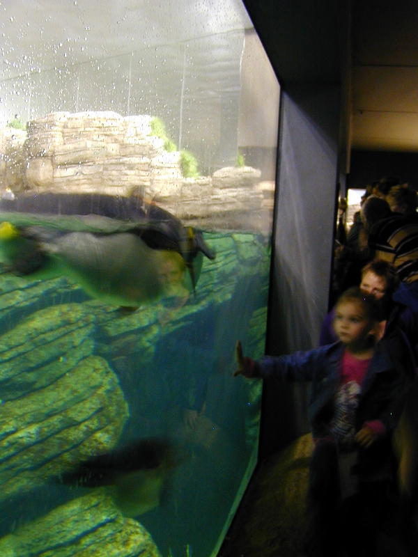Various pictures of the Rotterdam Aquarium