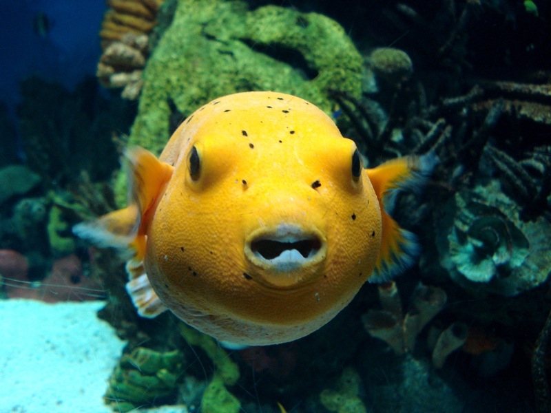 Various pictures of the Rotterdam Aquarium