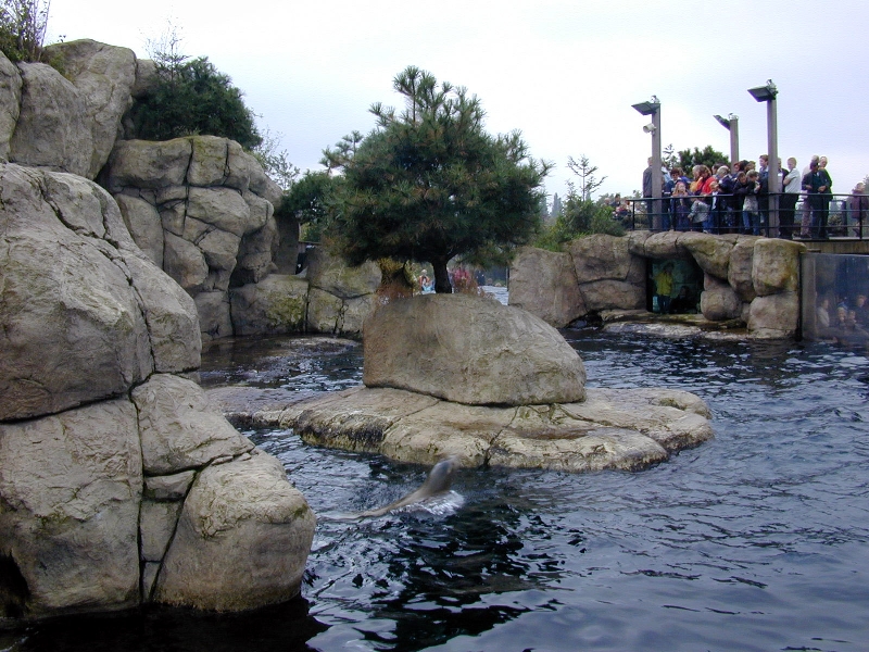 Various pictures of the Rotterdam Aquarium