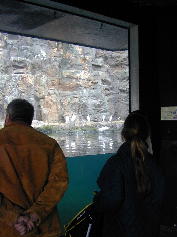 Various pictures of the Rotterdam Aquarium