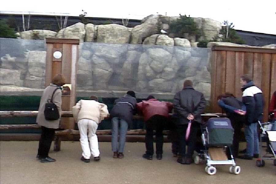 Various pictures of the Rotterdam Aquarium