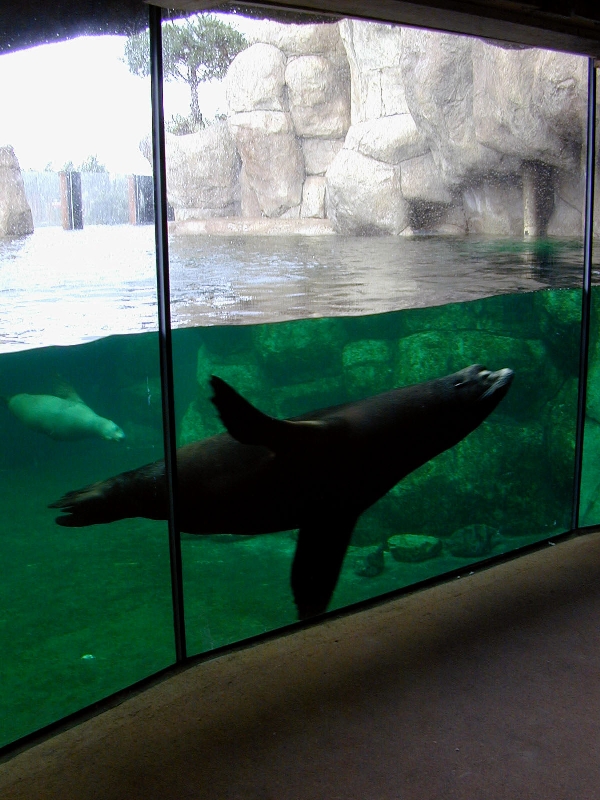 Various pictures of the Rotterdam Aquarium