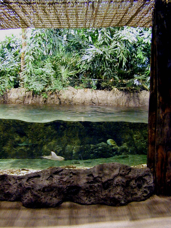 Various pictures of the Rotterdam Aquarium