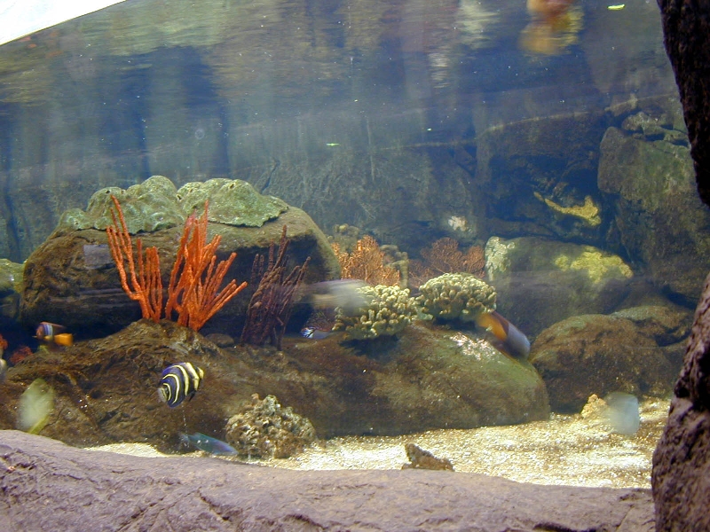 Various pictures of the Rotterdam Aquarium