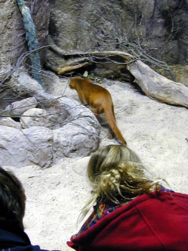 Various pictures of the Rotterdam Aquarium