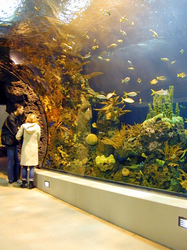 Various pictures of the Rotterdam Aquarium