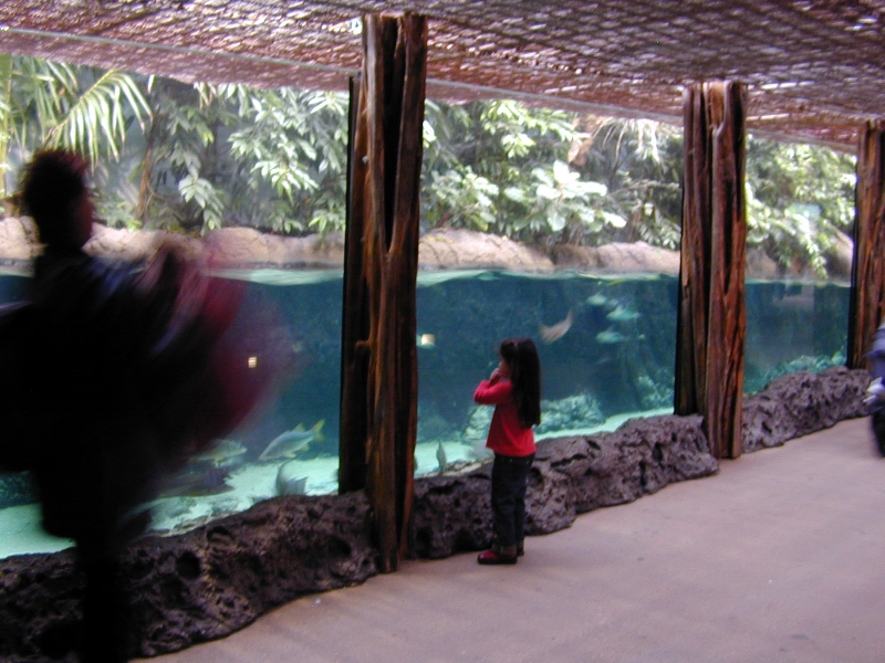 Various pictures of the Rotterdam Aquarium