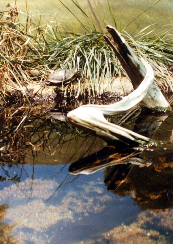 Various pictures of the Waters building